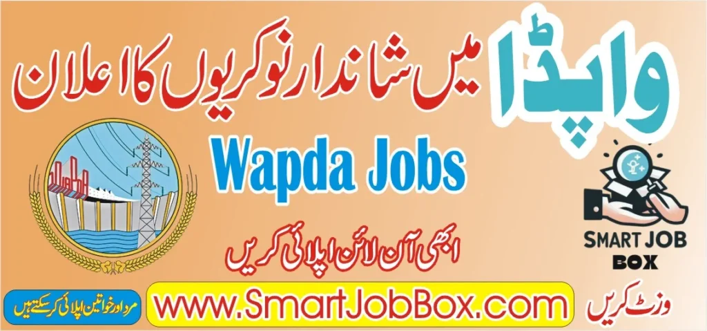 wapda jobs 2024 for female