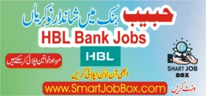 hbl cash officer jobs online apply