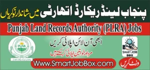 Punjab land records authority plra jobs 2024 online apply