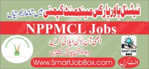 National power parks management company nppmcl jobs 2024 salary