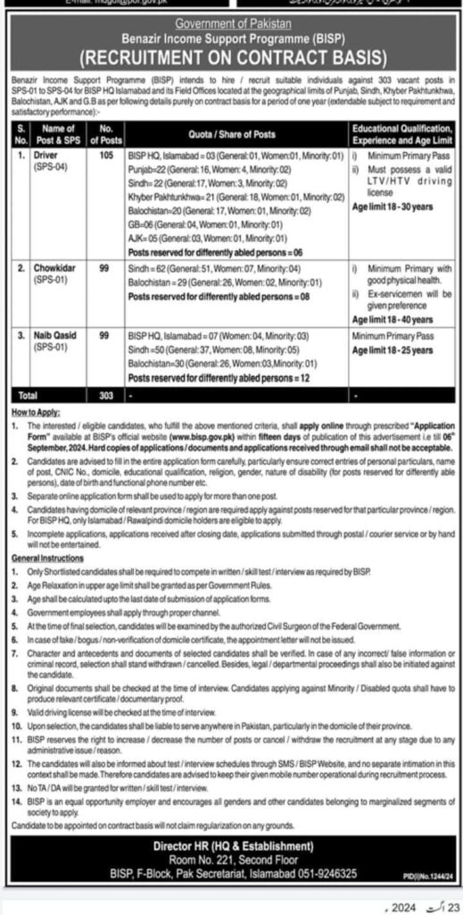 BISP Jobs application form
