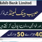 HBL Bank Jobs 2024 Online Apply