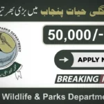 Punjab Wildlife & Parks Department Jobs 2025